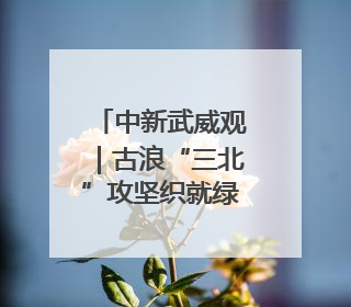 中新武威观｜古浪“三北”攻坚织就绿色经纬
