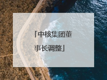 中核集团董事长调整
