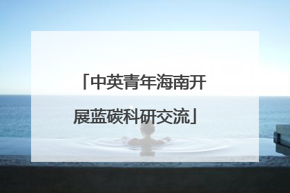 中英青年海南开展蓝碳科研交流