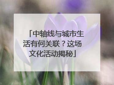 中轴线与城市生活有何关联？这场文化活动揭秘