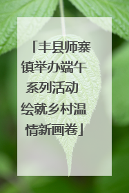 丰县师寨镇举办端午系列活动 绘就乡村温情新画卷