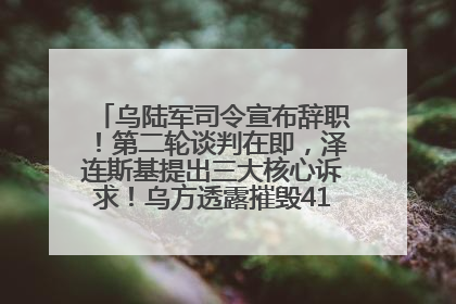 乌陆军司令宣布辞职！第二轮谈判在即，泽连斯基提出三大核心诉求！乌方透露摧毁41架俄战略轰炸机