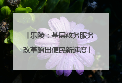 乐陵：基层政务服务改革跑出便民新速度