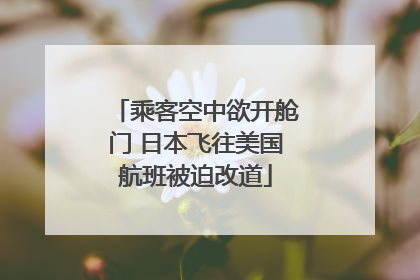 乘客空中欲开舱门 日本飞往美国航班被迫改道
