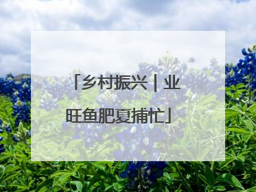 乡村振兴｜业旺鱼肥夏捕忙