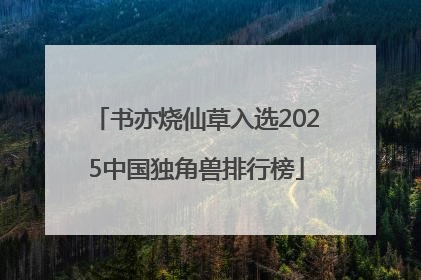 书亦烧仙草入选2025中国独角兽排行榜