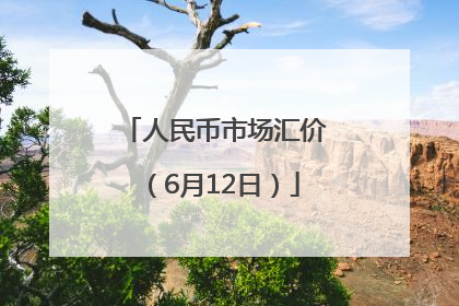 人民币市场汇价（6月12日）