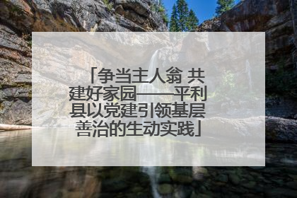 争当主人翁 共建好家园——平利县以党建引领基层善治的生动实践