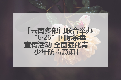云南多部门联合举办“6·26”国际禁毒宣传活动 全面强化青少年防毒意识