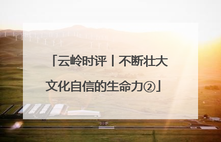 云岭时评丨不断壮大文化自信的生命力②