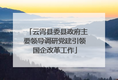 云霄县委县政府主要领导调研党建引领国企改革工作