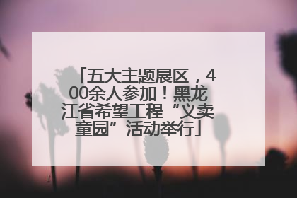 五大主题展区，400余人参加！黑龙江省希望工程“义卖童园”活动举行