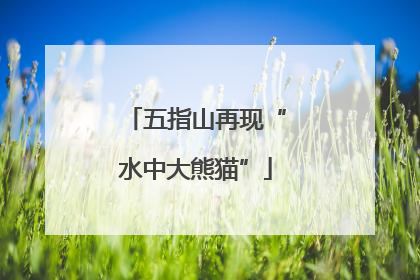 五指山再现“水中大熊猫”