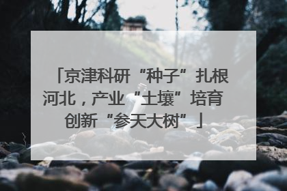 京津科研“种子”扎根河北，产业“土壤”培育创新“参天大树”