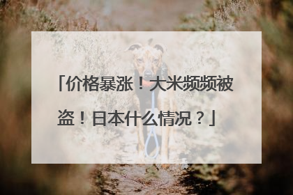 价格暴涨！大米频频被盗！日本什么情况？