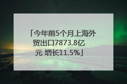 今年前5个月上海外贸出口7873.8亿元 增长11.5%