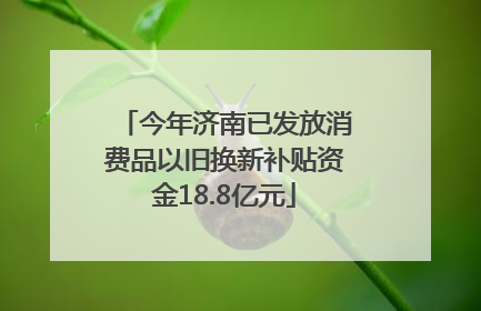 今年济南已发放消费品以旧换新补贴资金18.8亿元