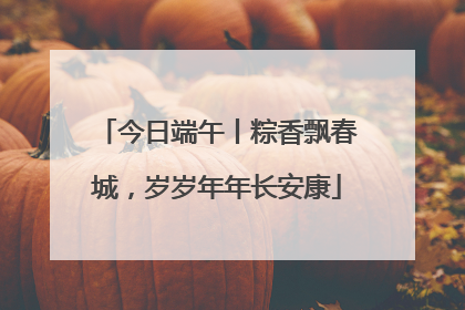 今日端午丨粽香飘春城，岁岁年年长安康