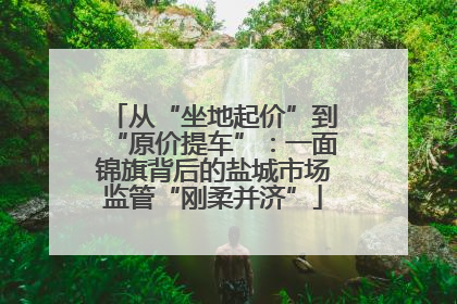 从“坐地起价”到“原价提车”：一面锦旗背后的盐城市场监管“刚柔并济”