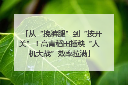 从“挽裤腿”到“按开关”！高青稻田插秧“人机大战”效率拉满
