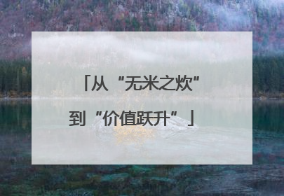 从“无米之炊”到“价值跃升”