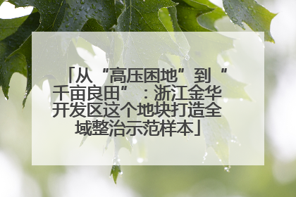 从“高压困地”到“千亩良田”：浙江金华开发区这个地块打造全域整治示范样本