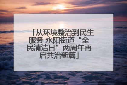 从环境整治到民生服务 永阳街道“全民清洁日”两周年再启共治新篇
