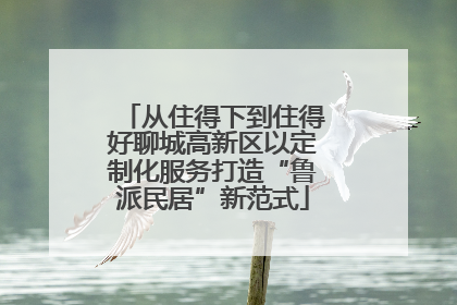 从住得下到住得好聊城高新区以定制化服务打造“鲁派民居”新范式
