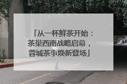 从一杯鲜茶开始：茶巢西南战略启幕，蓉城茶事焕新登场