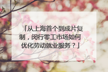 从上海首个到成片复制，闵行零工市场如何优化劳动就业服务？