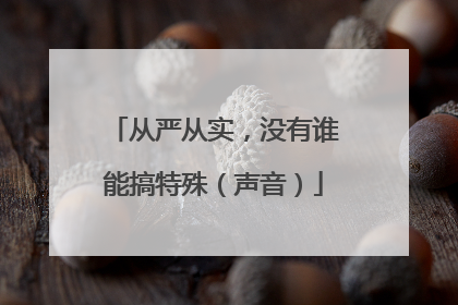 从严从实，没有谁能搞特殊（声音）