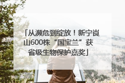从濒危到绽放！新宁崀山600株“国宝兰”获省级生物保护嘉奖