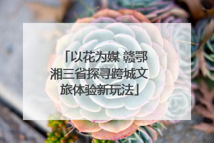 以花为媒 赣鄂湘三省探寻跨城文旅体验新玩法