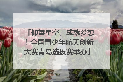 仰望星空、成就梦想！全国青少年航天创新大赛青岛选拔赛举办