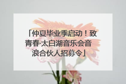 仲夏毕业季启动！致青春·太白湖音乐会音浪合伙人招募令