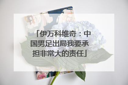 伊万科维奇：中国男足出局我要承担非常大的责任
