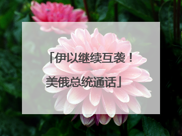 伊以继续互袭！美俄总统通话
