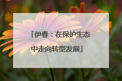 伊春：在保护生态中走向转型发展