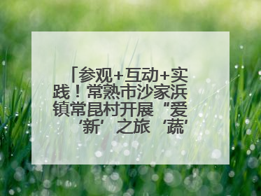 参观+互动+实践！常熟市沙家浜镇常昆村开展“爱‘新’之旅‘蔬’适生活”参观学习活动