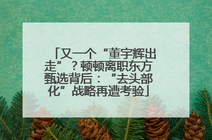 又一个“董宇辉出走”？顿顿离职东方甄选背后：“去头部化”战略再遭考验