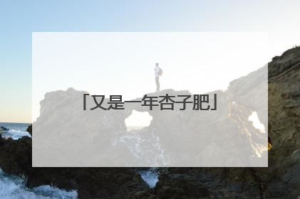 又是一年杏子肥
