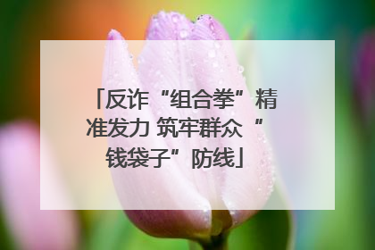 反诈“组合拳”精准发力 筑牢群众“钱袋子”防线