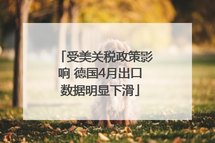 受美关税政策影响 德国4月出口数据明显下滑