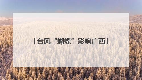 台风“蝴蝶”影响广西