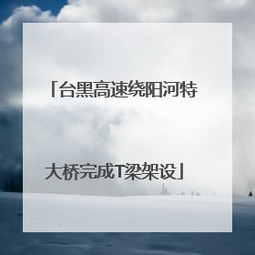 台黑高速绕阳河特大桥完成T梁架设