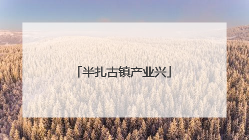 半扎古镇产业兴