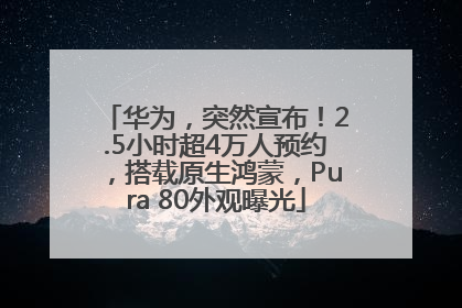 华为，突然宣布！2.5小时超4万人预约，搭载原生鸿蒙，Pura 80外观曝光