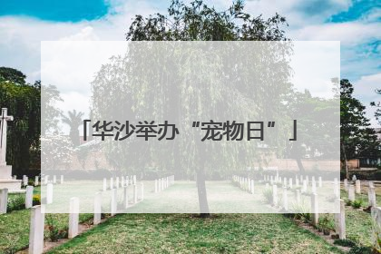 华沙举办“宠物日”
