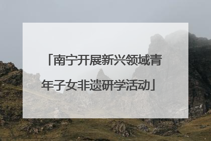 南宁开展新兴领域青年子女非遗研学活动