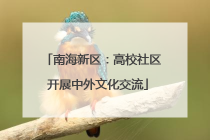 南海新区：高校社区开展中外文化交流